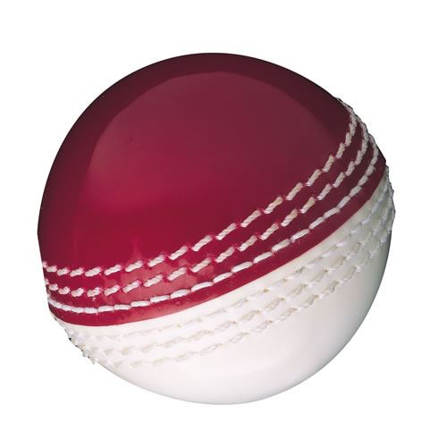 Gunn and Moore Skills Cricket Ball - Image 2