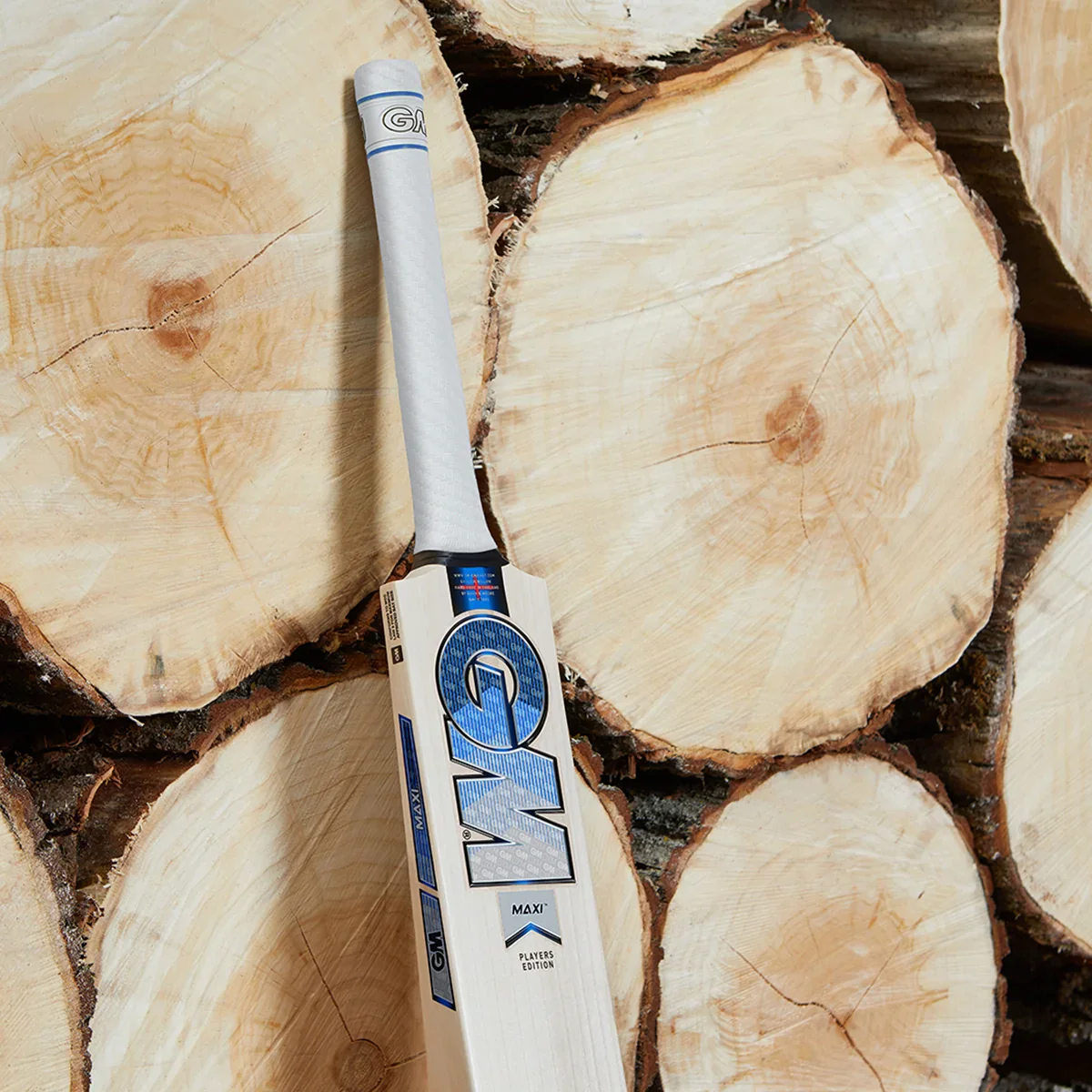 Gunn & Moore Jacob Bethell Players Edition Cricket Bat - Image 4
