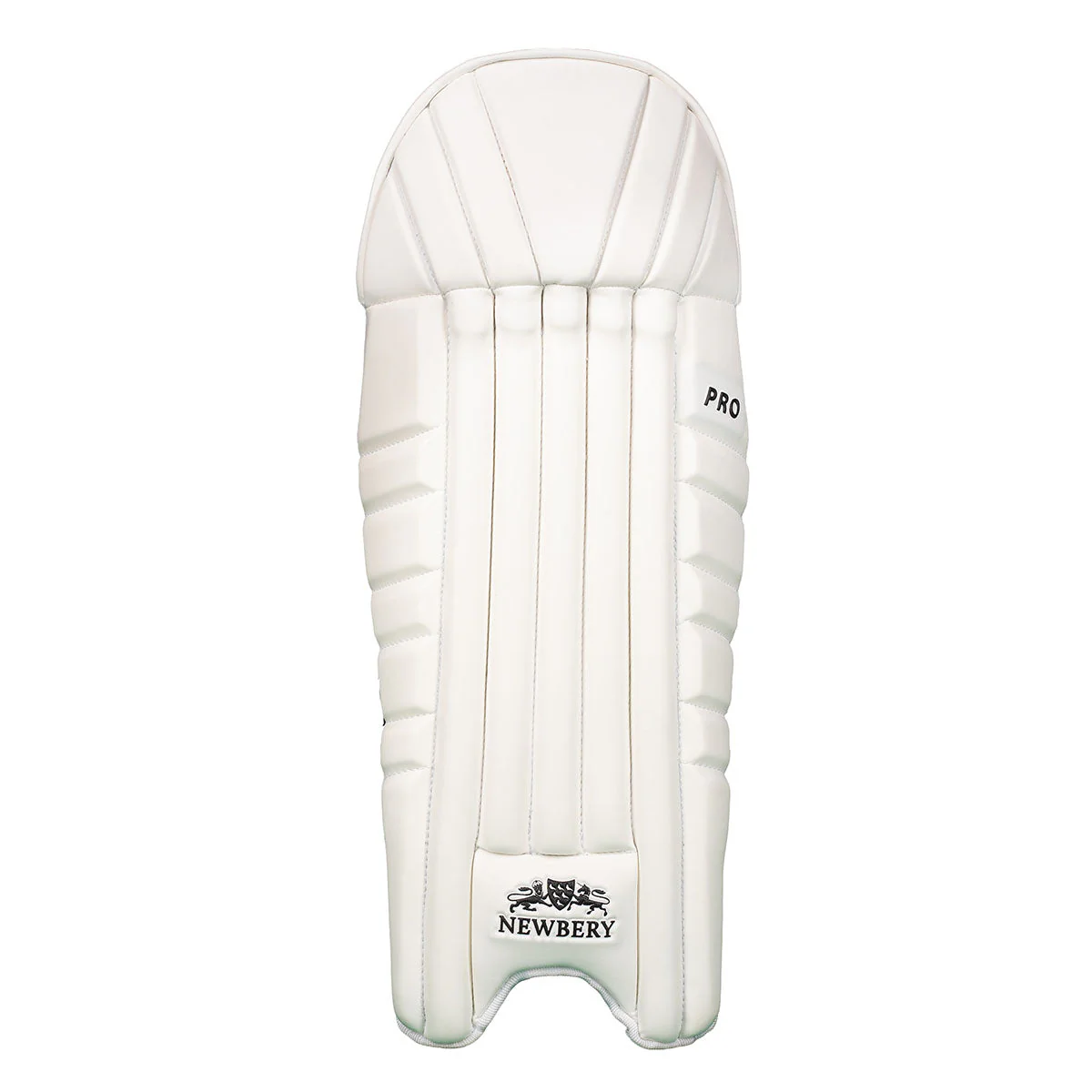 Newbery Pro Wicket Keeping Pads - Image 2